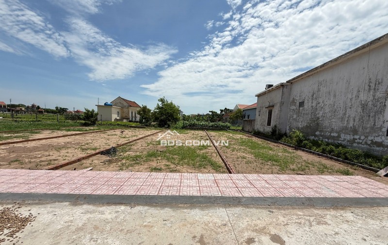 SỐC 14 Lô Đất Giá Rẻ Nhất Quất Lâm  Vị Trí Đẹp, Sổ Sẵn, Mua Là Lãi!